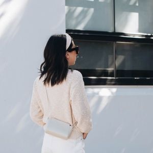 Everlane micro form bag mini crossbody bone